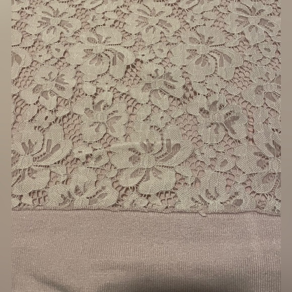 Floral Lace Sheer Back Detail Top in Blush color, S-M-L - Picture 4 of 5